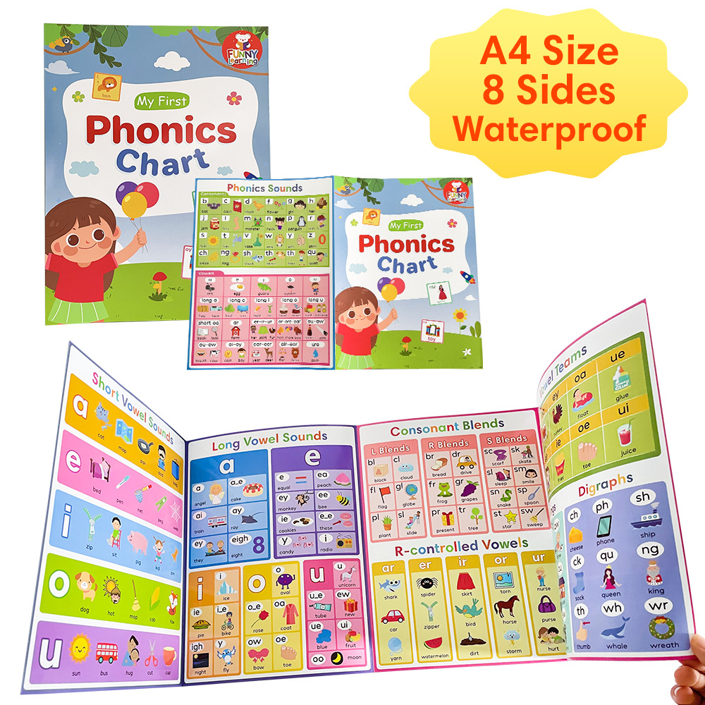 子供向けフォニックスチャート 英語発音ルール学習ポスター 元 - Sight Word Game のレビューと価格